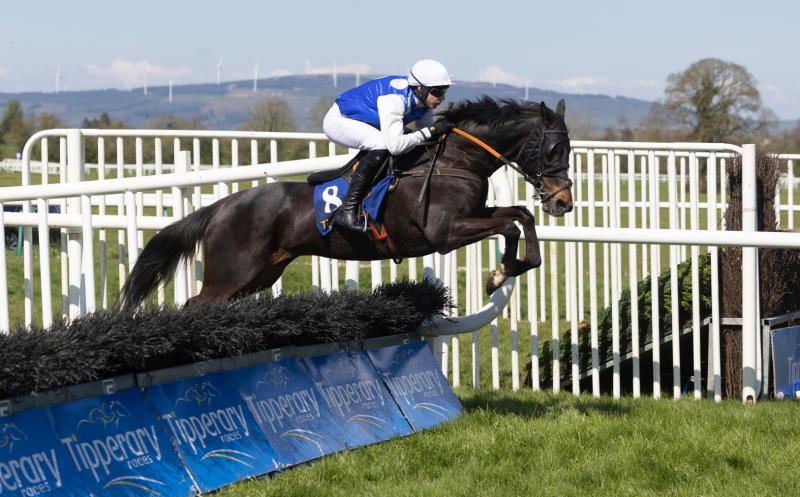 Limerick racing connections in top form ahead of Punchestown Festival