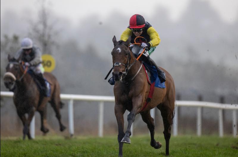 Limerick racing connections enjoy bumper spell on the track