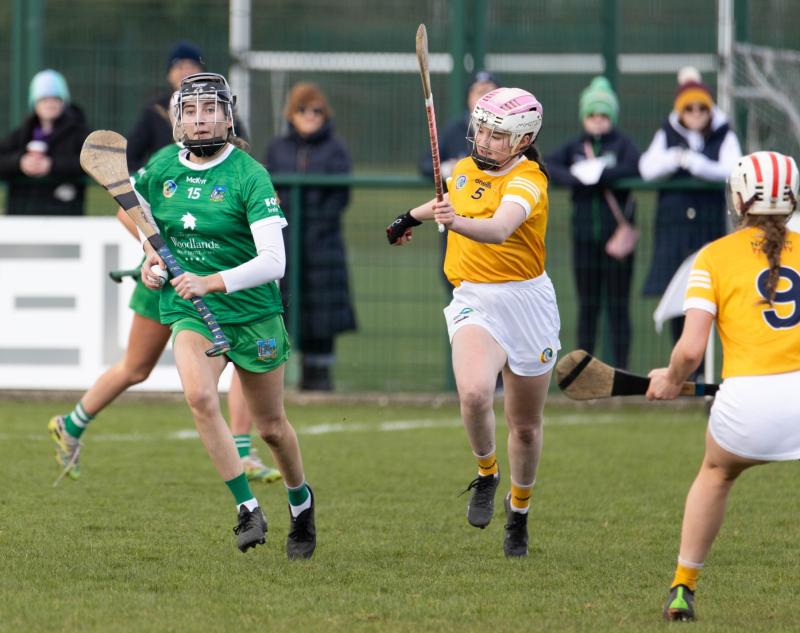 Limerick lose out to Antrim in Very Camogie League