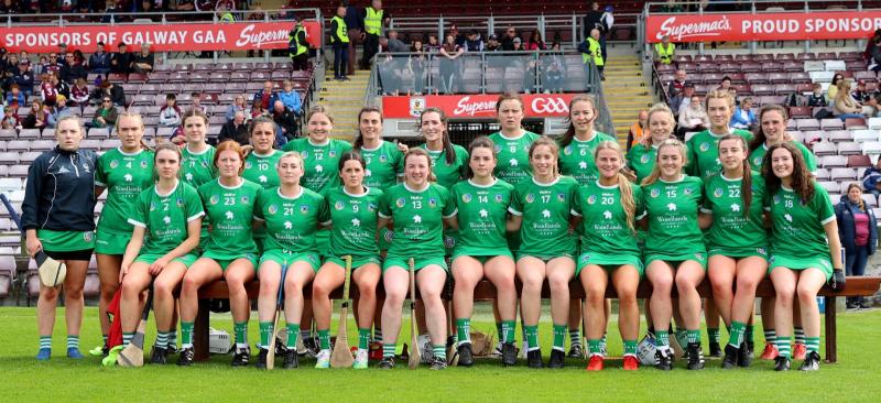 Limerick suffer defeat to Kilkenny in senior camogie championship