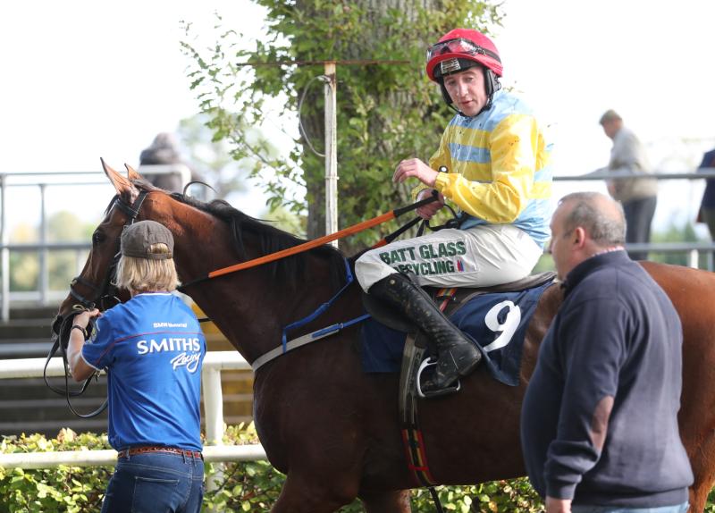 Limerick horse racing connections enjoying bumper spell on the track