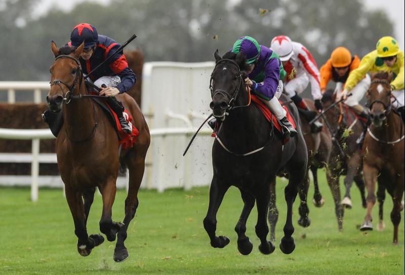 Limerick jockeys in rich vein of form on the track