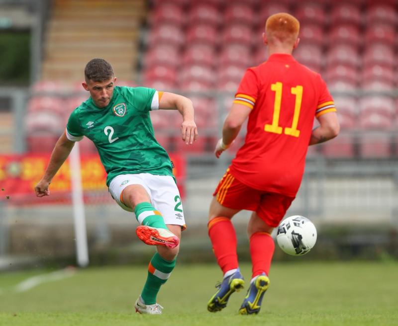 Limerick players in 