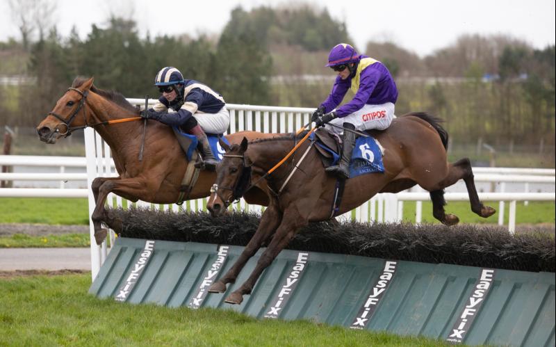 Limerick trainers and jockeys enjoy successful spell on the track