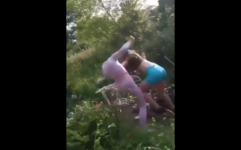 Major garda investigation in Limerick town after ‘vicious’ videos of girls fighting widely shared
