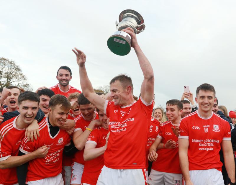 Monaleen see off Ballybrown to earn Limerick County Junior B hurling title