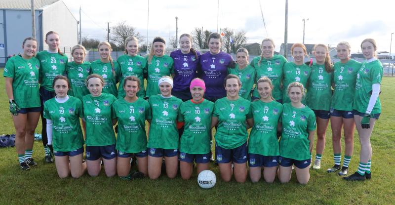 Limerick Ladies Kilkenny