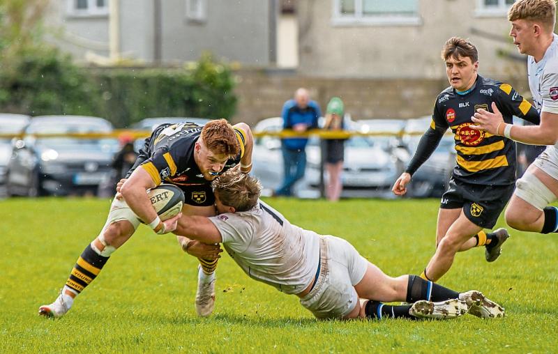 Holders Young Munster host Cork Con in Munster Senior Cup semi-final