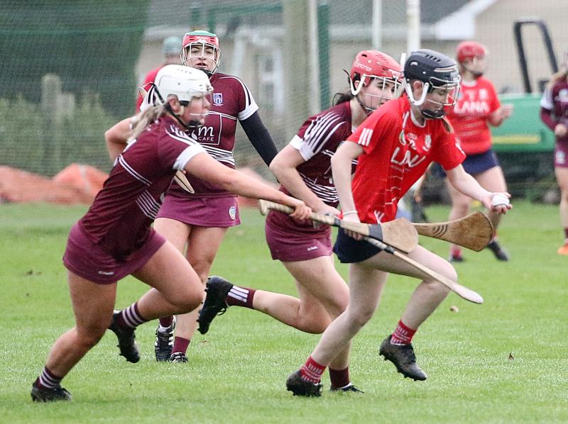 Extra-time heartbreak for brave Monaleen in Munster club junior camogie final
