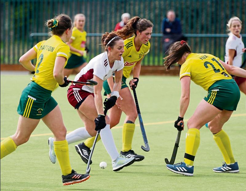 Limerick's Catholic Institute look to retain Irish Senior Cup title