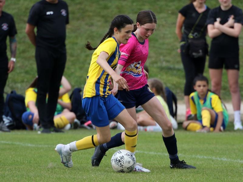 Day 3 action continues for three Limerick sides for Gaynor Cup at UL