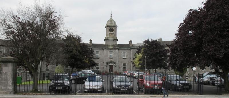 Wild About Wildlife: Green oasis  at  old Limerick city hospital    