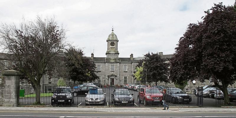 Wild About Wildlife: Continuing our exploration of old Limerick hospital grounds  
