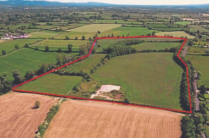 Million euro Limerick farm put up for auction