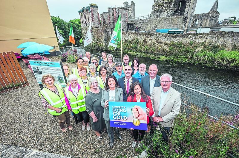 Limerick communities hope to clean up as total of €60k is up for grabs  