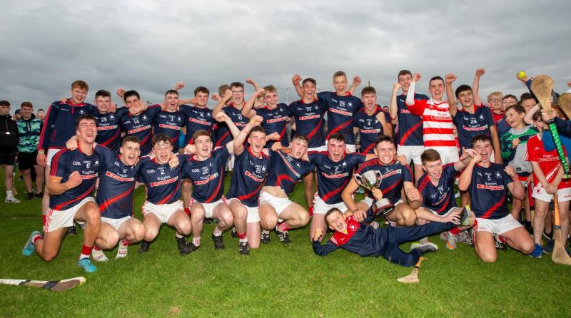 Bruff power home to see off Monaleen in Limerick Premier U19 hurling final