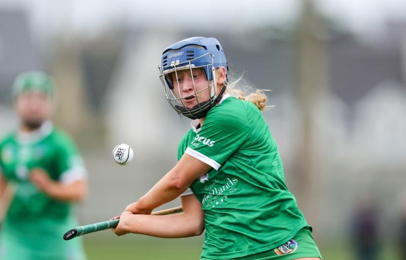Spirited Limerick camogie side secure Division 1B status after crucial win over Offaly