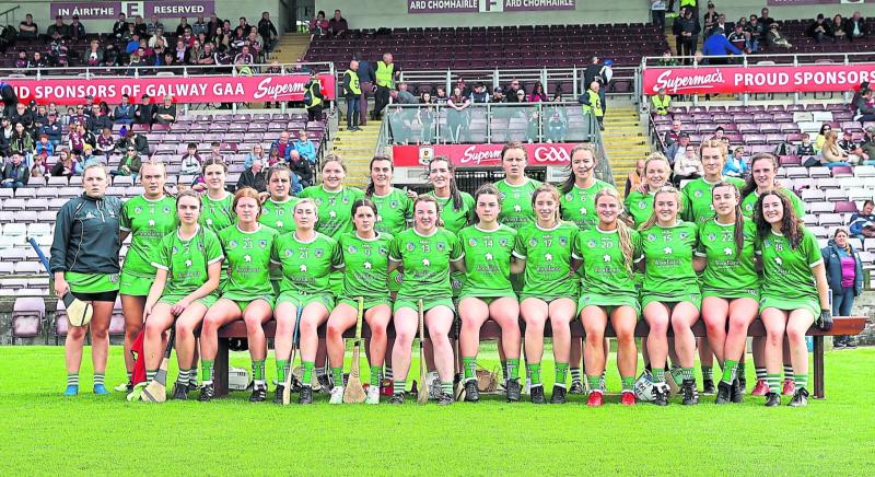Resilient Limerick book All-Ireland camogie quarter-final spot