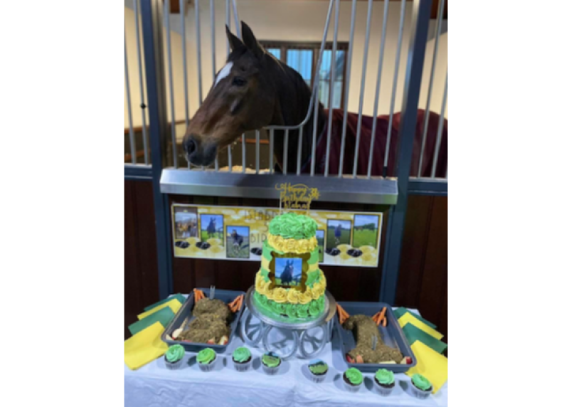 Limerick superstar Istabraq still having fun at 31