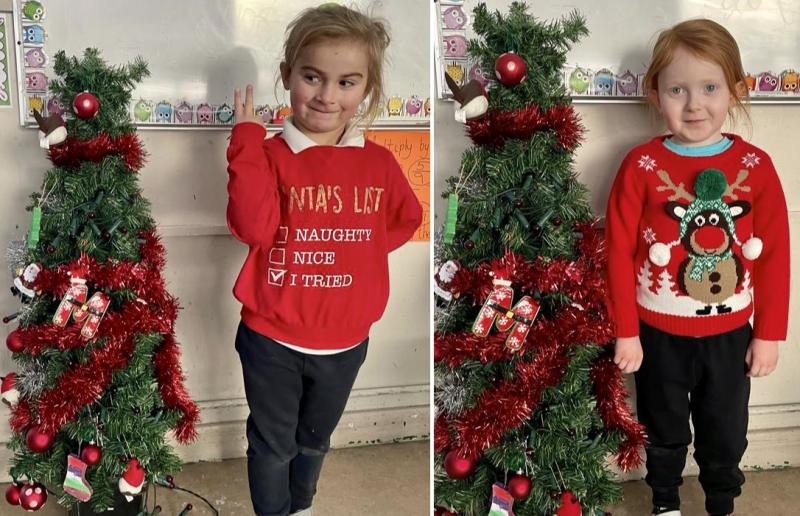 Pupils at Limerick school find novel way to sustainably celebrate Christmas
