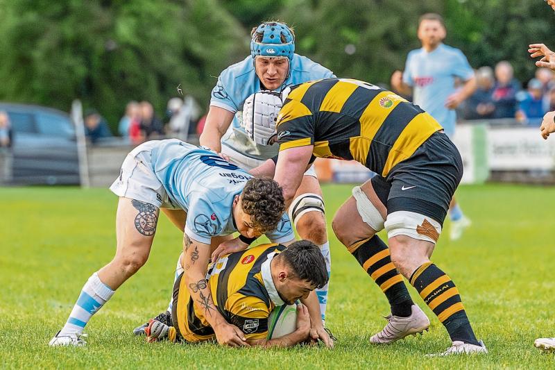Date confirmed for Young Munster's Bateman Cup semi-final