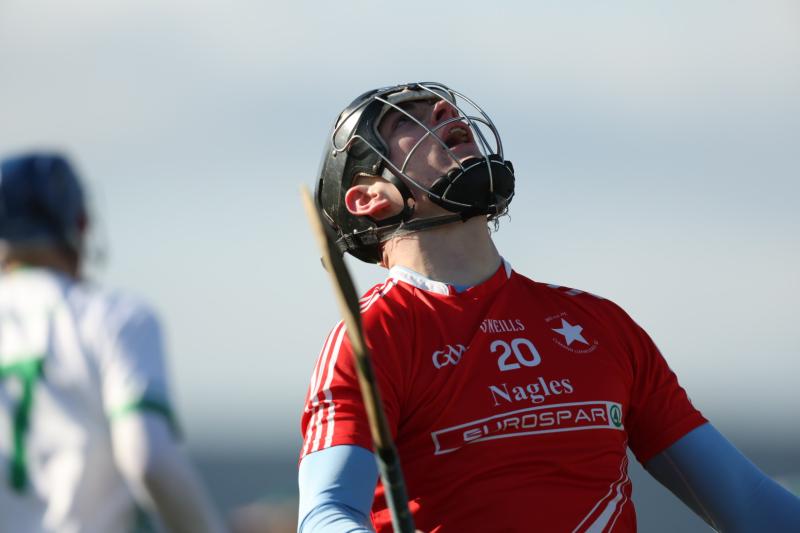 Heartbreak for gallant Bruff as Limerick side lose All-Ireland Final