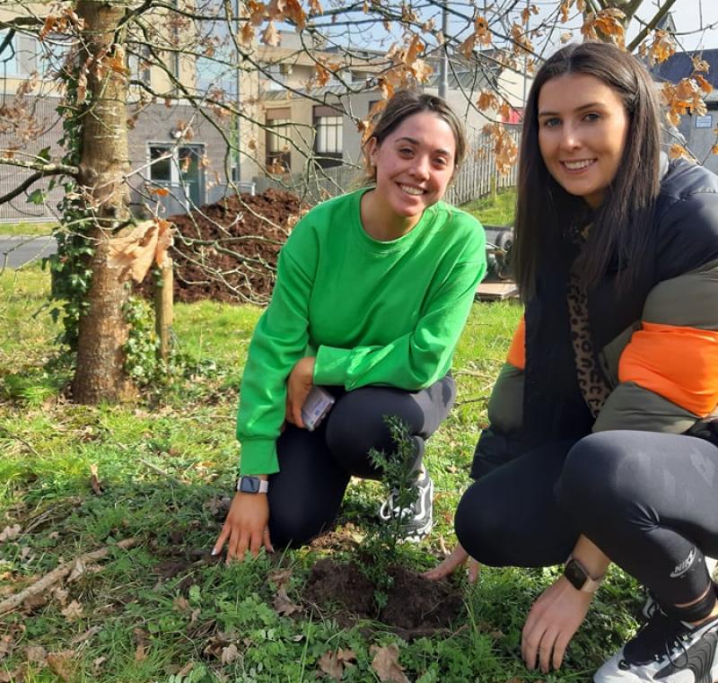 Limerick college celebrates Tree Week by planting 100 native trees