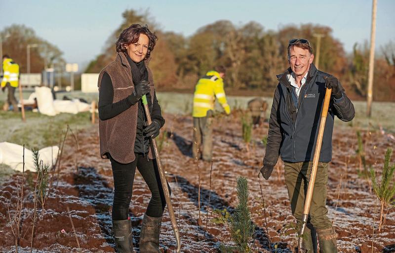 Limerick Racecourse plants thousands of trees as part of sustainability project