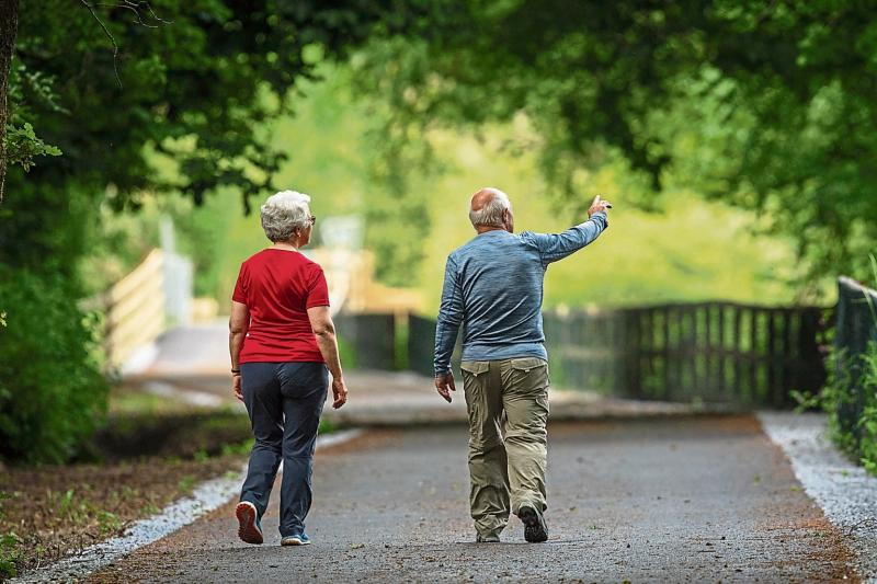 Plans for Limerick to Cork greenway takes step forward