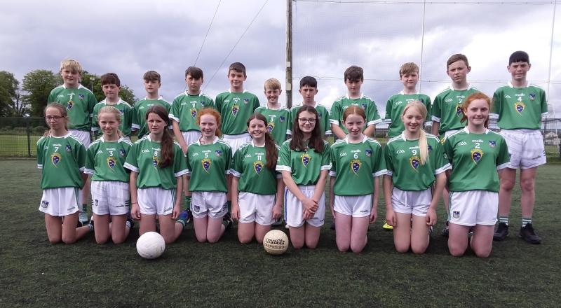 Three Limerick Primary Game panels confirmed for busy weekend in Munster GAA Championship