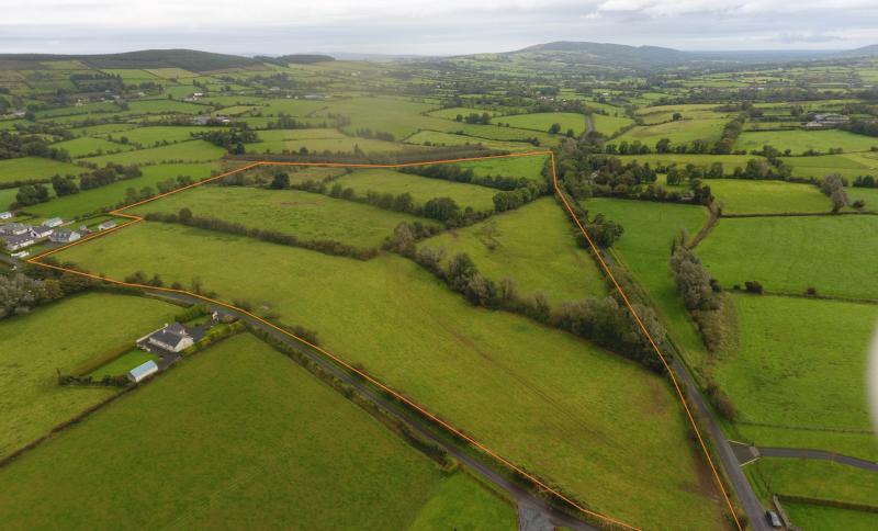 Forty acres of Limerick land guided at €260k ahead of online auction