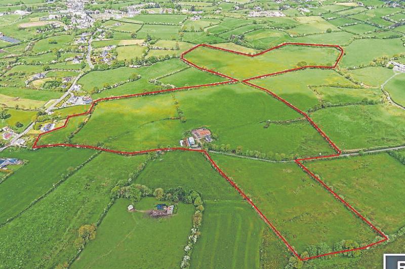 Half a million euro farm for sale on the edge of Limerick village