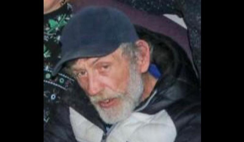 Gardaí appeal for information in search of man missing in Limerick