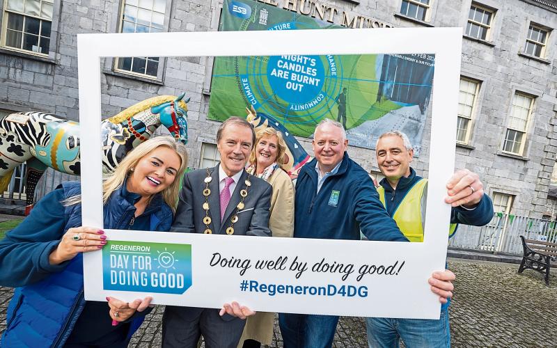 Over 1,000 people get involved in Limerick community event