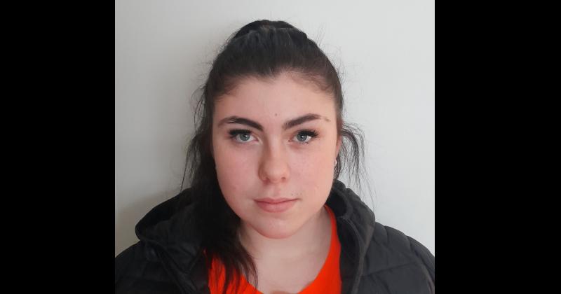 Gardaí appeal for help to find missing Limerick teen