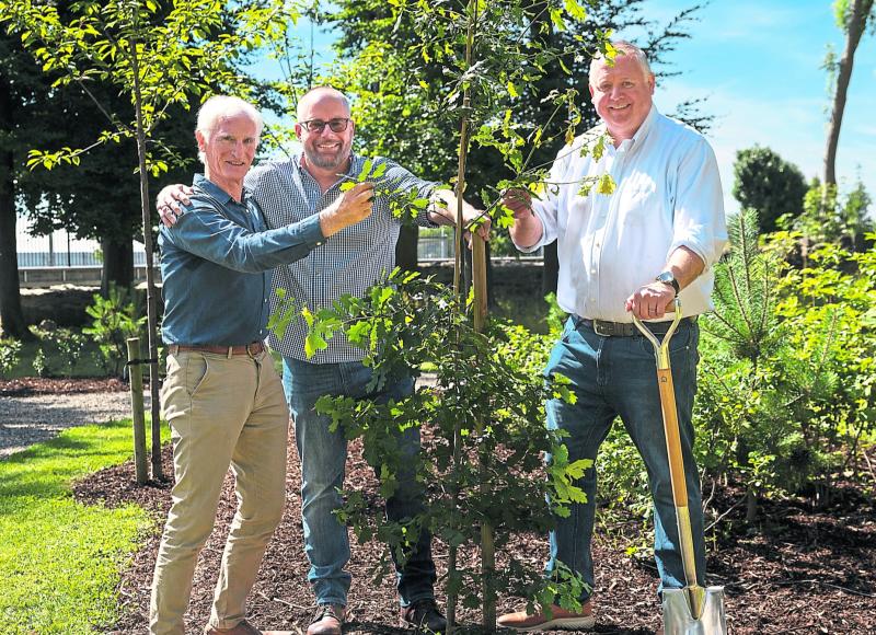 Preserving the castle: Limerick Regeneron staff complete restoration projects