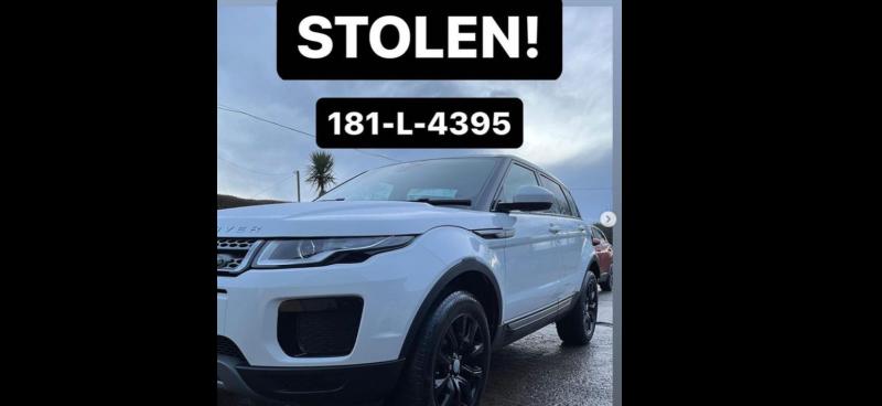 Niamh&nbsp;de Br&uacute;n-Reid appeals for information after her car is stolen in Limerick 