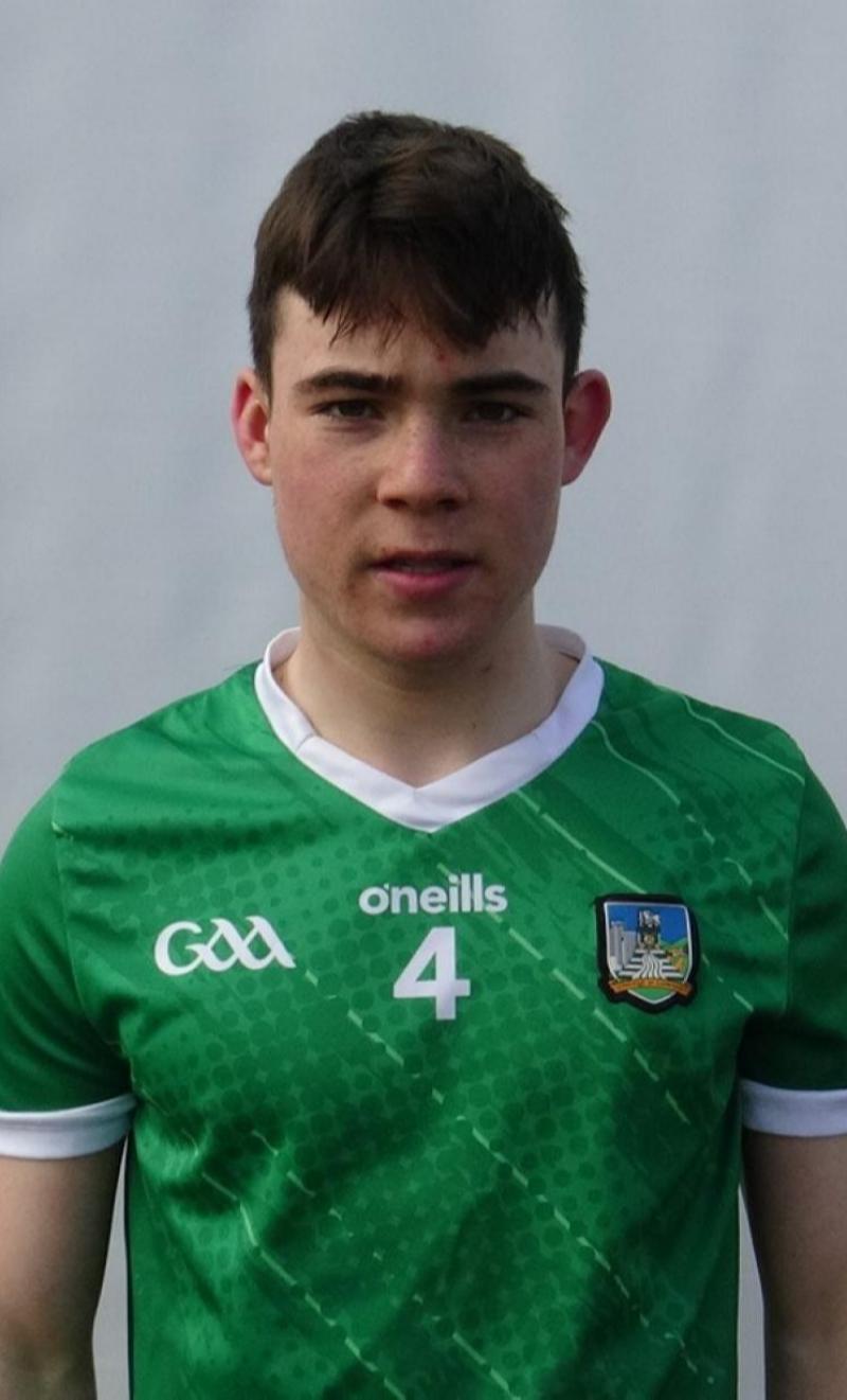 Limerick minor hurling panel for 2023 revealed