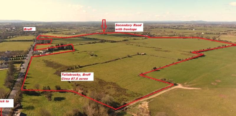 Three Limerick lands sales make over €1m in an hour