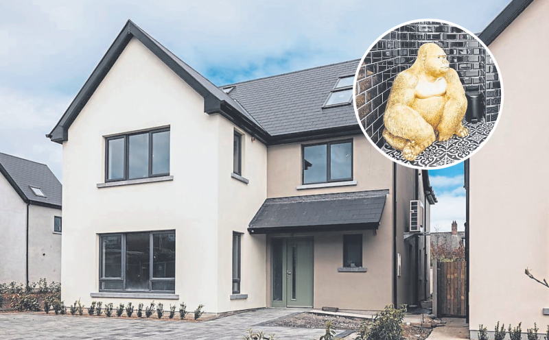 No monkey business with luxury house in Limerick