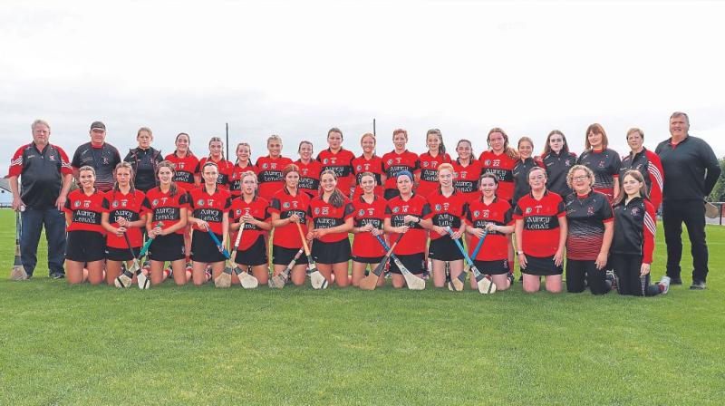 Limerick camogie team hopes to etch their names in club history