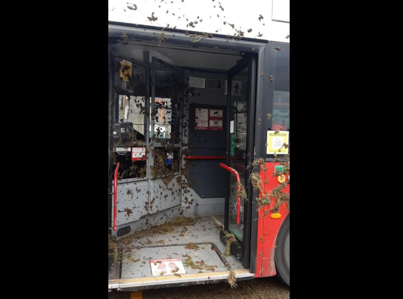 Youths on scramblers stir up the muck on Limerick bus