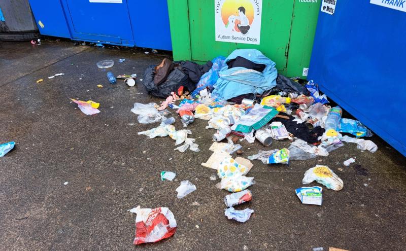 Rat jumps out of bottle bank in Limerick as woman recycles her goods