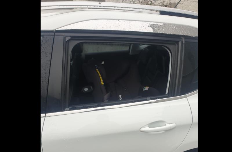 Toddler escapes injury after rocks thrown at cars from Limerick bridge