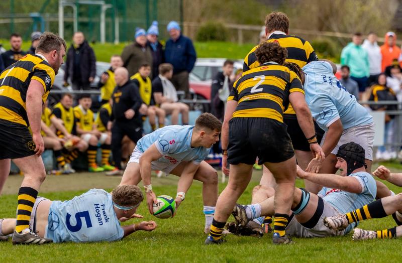 Limerick rugby clubs learn All-Ireland League fixtures for upcoming season 