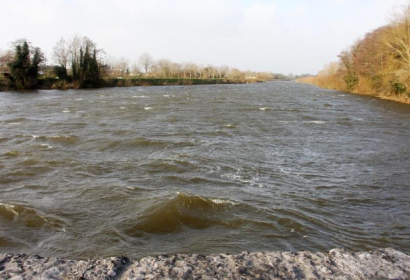 Pontoon set to dock on Limerick river 