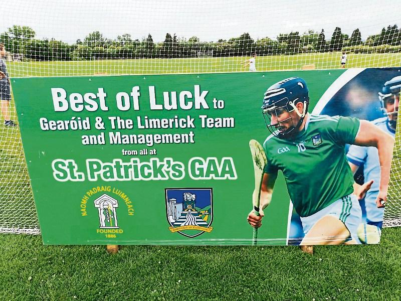 Limerick city community goes green to back local hurling hero ‘Hego’