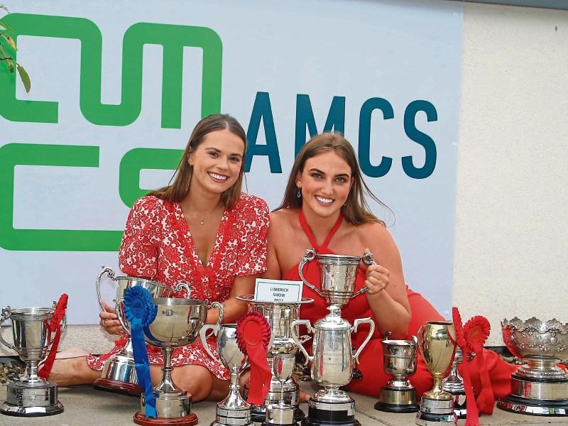 Ninety first Limerick Show could be the best one yet!