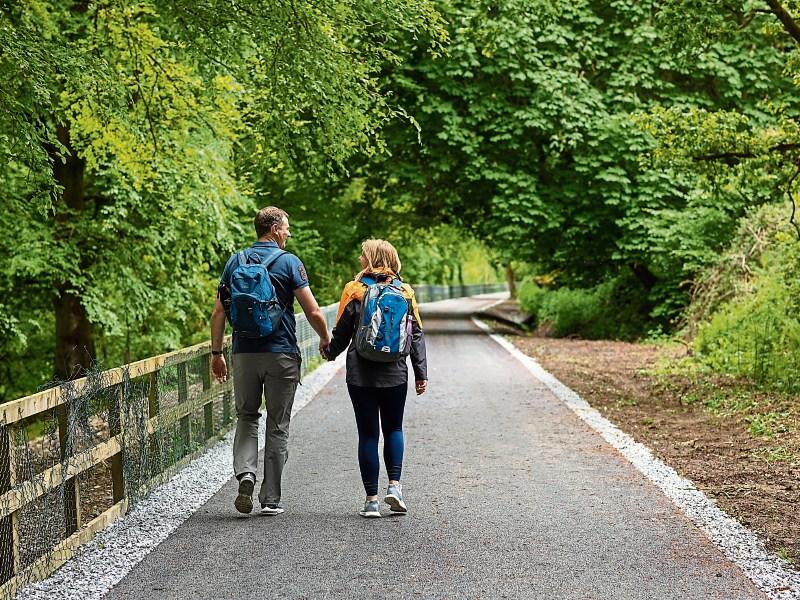 Partial closure of Limerick Greenway to facilitate construction of new cattle underpasses