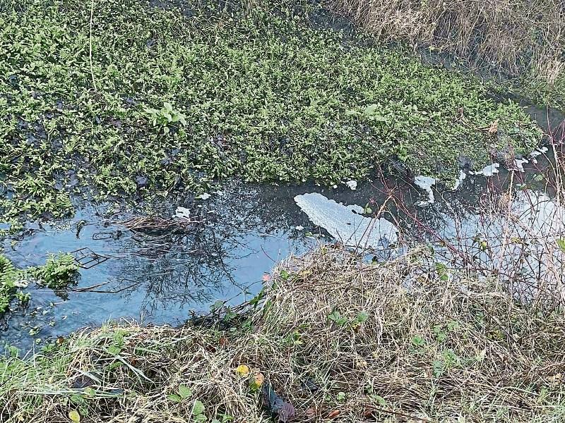 Limerick farmer raises fresh concerns over 'industrial pollution of worst kind&rsquo;